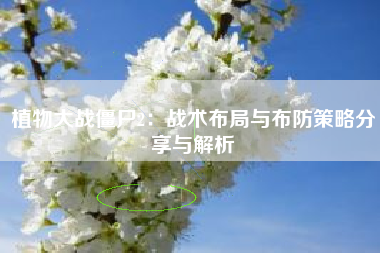 植物大战僵尸2：战术布局与布防策略分享与解析  第1张