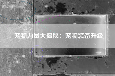 宠物力量大揭秘：宠物装备升级  第1张