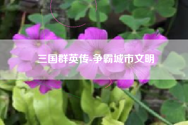 三国群英传-争霸城市文明  第1张