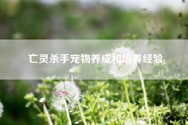 亡灵杀手宠物养成和培养经验  第1张
