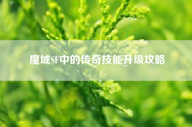 魔域SF中的传奇技能升级攻略  第1张