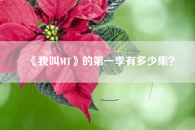 《我叫MT》的第一季有多少集？  第1张