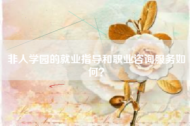 非人学园的就业指导和职业咨询服务如何？  第1张