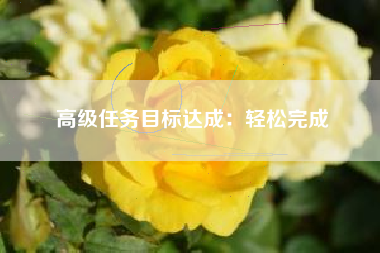 高级任务目标达成：轻松完成  第1张