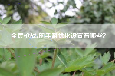 全民枪战2的手游优化设置有哪些？  第1张