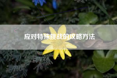 应对特殊挑战的攻略方法  第1张