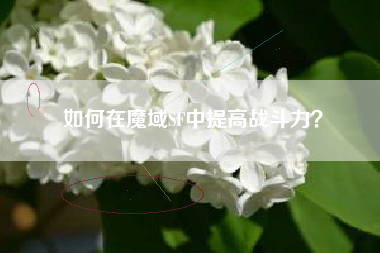 如何在魔域SF中提高战斗力？  第1张