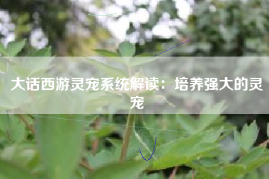 大话西游灵宠系统解读：培养强大的灵宠  第1张