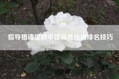 指导猎魂觉醒中提高竞技场排名技巧  第1张