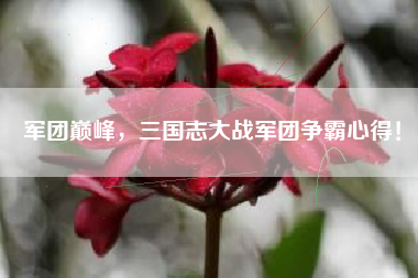 军团巅峰，三国志大战军团争霸心得！  第1张