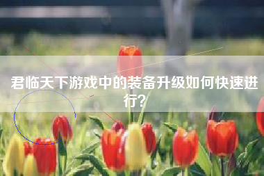君临天下游戏中的装备升级如何快速进行？  第1张