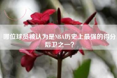 哪位球员被认为是NBA历史上最强的得分后卫之一？  第1张