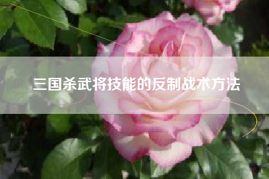 三国杀武将技能的反制战术方法  第1张
