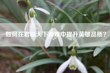 如何在君临天下游戏中提升英雄品质？  第1张