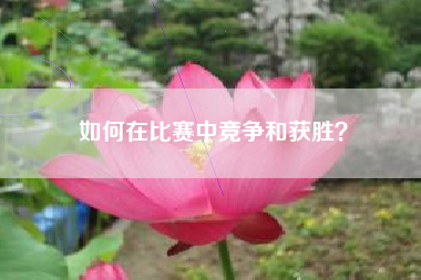 如何在比赛中竞争和获胜？  第1张