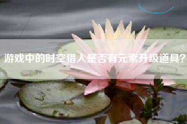 游戏中的时空猎人是否有元素升级道具？  第1张