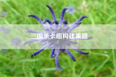三国杀卡组构建策略  第1张