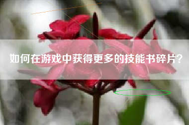 如何在游戏中获得更多的技能书碎片？  第1张