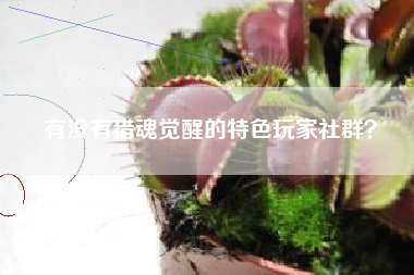 有没有猎魂觉醒的特色玩家社群？  第1张