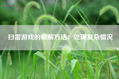 扫雷游戏的破解方法：处理复杂情况  第1张