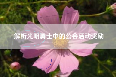 解析光明勇士中的公会活动奖励  第1张
