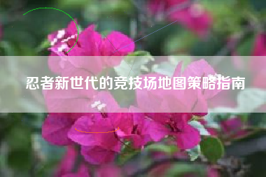 忍者新世代的竞技场地图策略指南  第1张