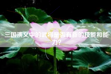 三国演义中的武将是否有新的技能和能力？  第1张