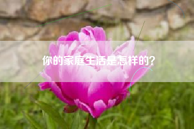 你的家庭生活是怎样的？  第1张