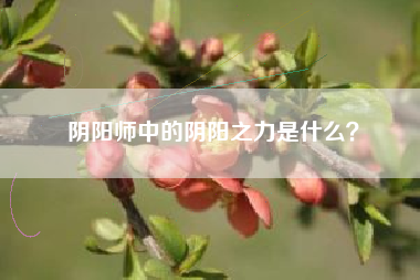 阴阳师中的阴阳之力是什么？  第1张