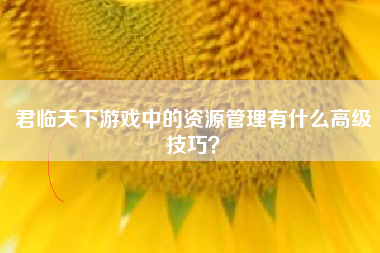 君临天下游戏中的资源管理有什么高级技巧？  第1张