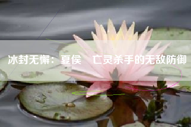 冰封无懈：夏侯惇亡灵杀手的无敌防御  第1张