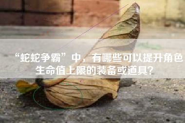 “蛇蛇争霸”中，有哪些可以提升角色生命值上限的装备或道具？  第1张