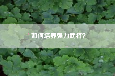 如何培养强力武将？  第1张