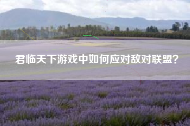 君临天下游戏中如何应对敌对联盟？  第1张