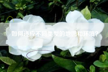 如何适应不同类型的地图和环境？  第1张
