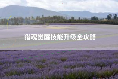 猎魂觉醒技能升级全攻略  第1张