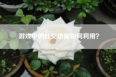 游戏中的社交功能如何利用？  第1张