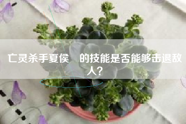 亡灵杀手夏侯惇的技能是否能够击退敌人？  第1张