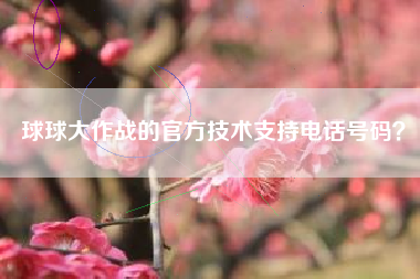 球球大作战的官方技术支持电话号码？  第1张
