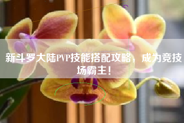 新斗罗大陆PVP技能搭配攻略，成为竞技场霸主！  第1张