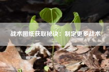 战术图纸获取秘诀：制定更多战术  第1张