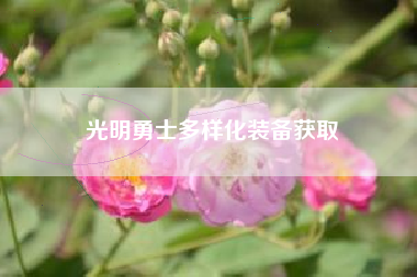 光明勇士多样化装备获取  第1张