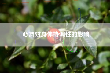 心舞对身体协调性的影响  第1张