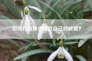 如何在游戏中建立自己的联盟？  第1张