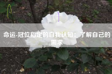 命运-冠位指定的自我认知：了解自己的需求  第1张