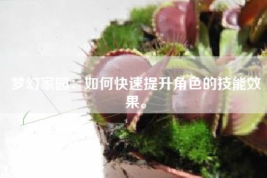 梦幻家园：如何快速提升角色的技能效果。  第1张