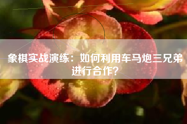 象棋实战演练：如何利用车马炮三兄弟进行合作？  第1张