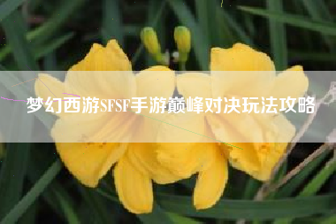 梦幻西游SFSF手游巅峰对决玩法攻略  第1张