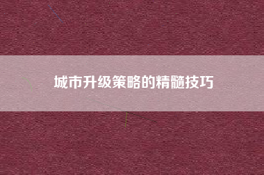 城市升级策略的精髓技巧  第1张