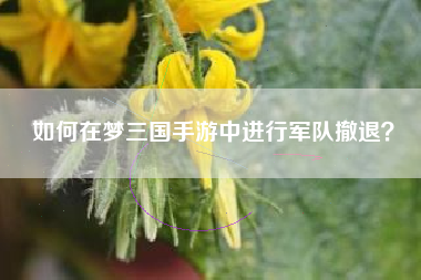 如何在梦三国手游中进行军队撤退？  第1张
